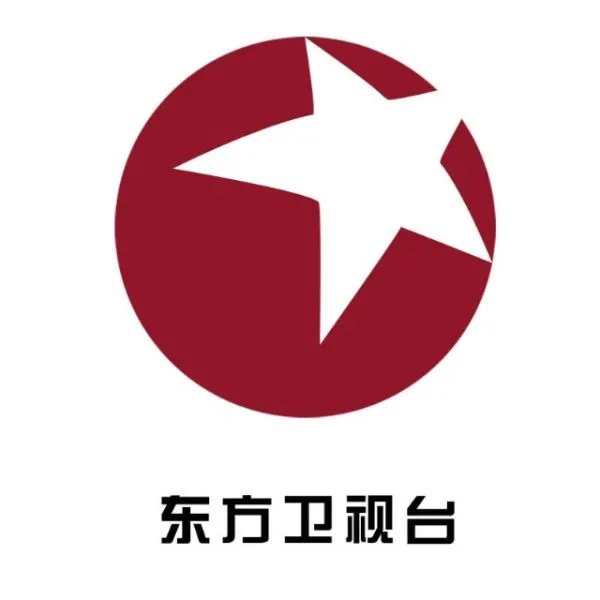 上海东方电视台的频道分类