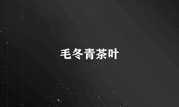 毛冬青茶叶