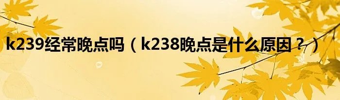 k239经常晚点吗（k238晚点是什么原因？）