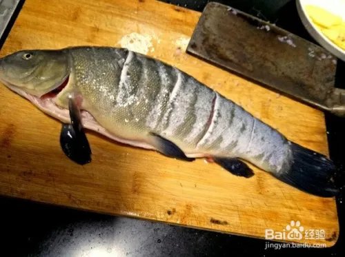 丁桂鱼的做法