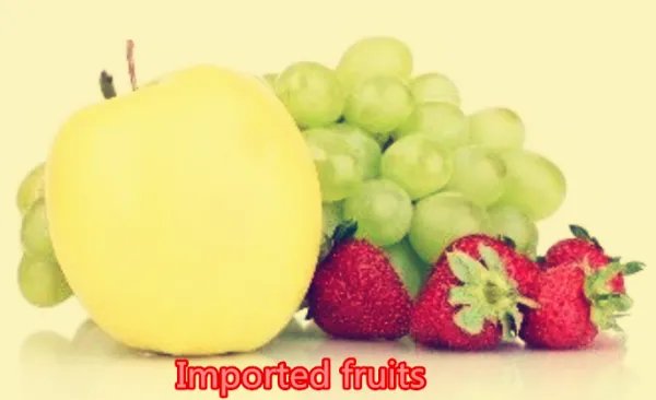 英文翻译 导入,引入