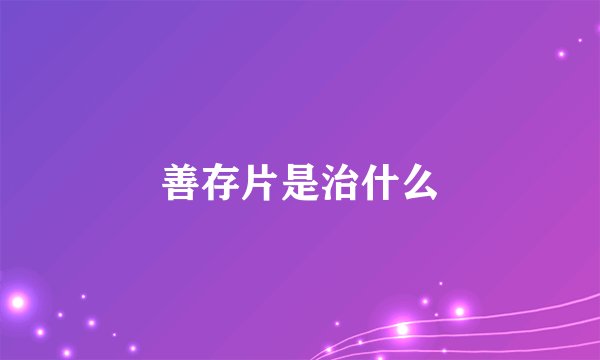 善存片是治什么