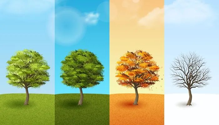 2022年四季是什么时候