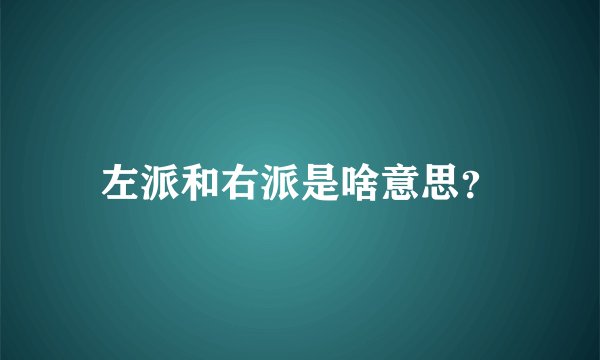 左派和右派是啥意思?
