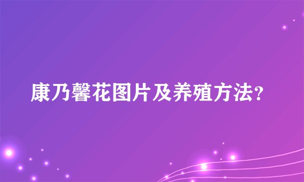 康乃馨花图片及养殖方法？