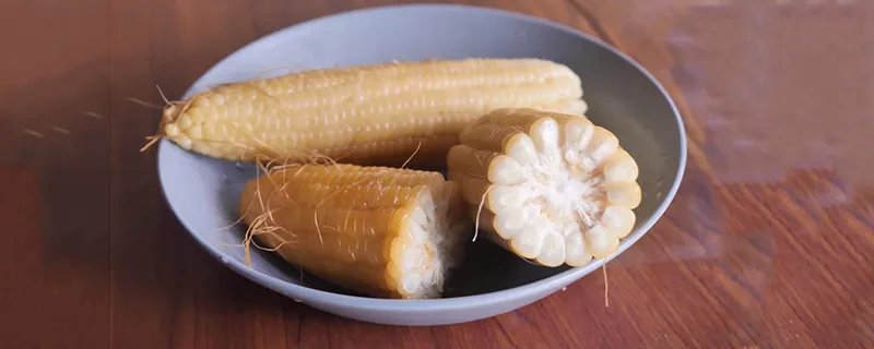 煮玉米的做法 煮玉米怎么煮