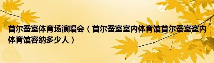 首尔蚕室体育场演唱会（首尔蚕室室内体育馆首尔蚕室室内体育馆容纳多少人）