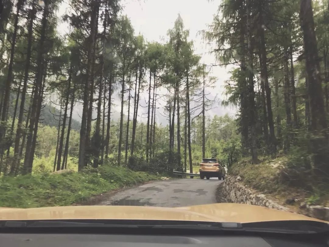 东风日产GT-R：年轻化的阵痛期，让人不太看得懂