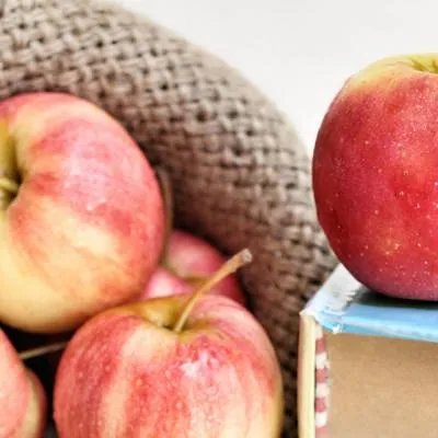 梨子的营养价值