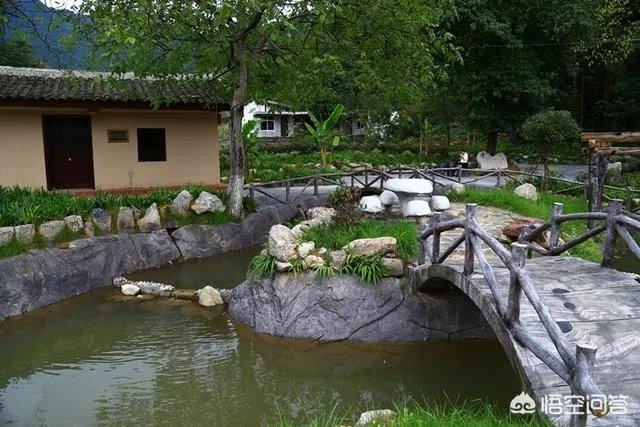 甘肃陇南康县目前有多少个美丽乡村？