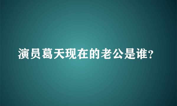 演员葛天现在的老公是谁？