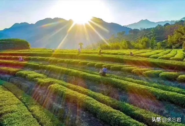 你认为2020年未来商机在哪里?