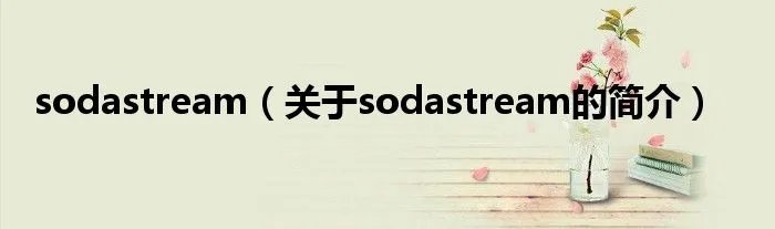 sodastream（关于sodastream的简介）