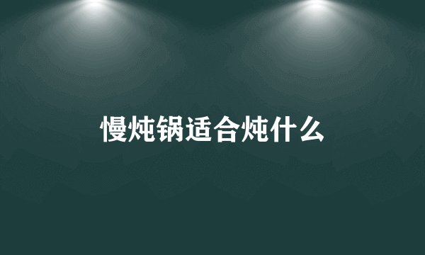 慢炖锅适合炖什么
