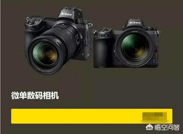 无反,微单,单反有什么区别,如果购买应该买哪种呢?