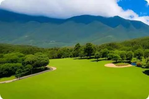 摸腿骑什么意思