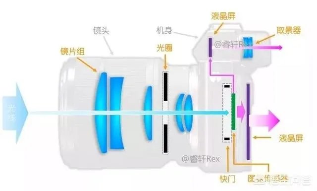 无反,微单,单反有什么区别,如果购买应该买哪种呢?