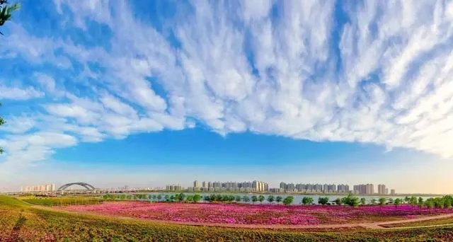 洛阳市有哪些知名小区