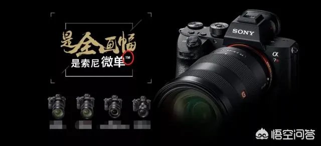 无反,微单,单反有什么区别,如果购买应该买哪种呢?