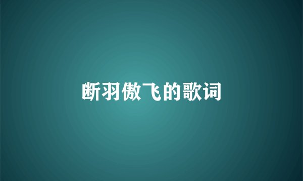 断羽傲飞的歌词
