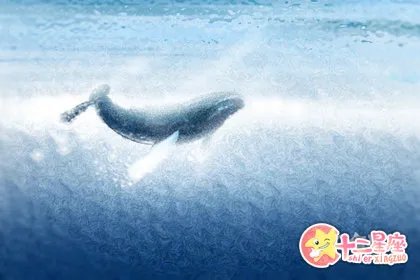 梦见黑色棺材是什么预兆