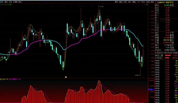 600751股票行情没有实际控股人是坏事吗？
