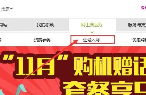 怎么在网上选手机号