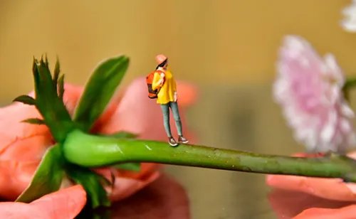 送巧克力代表什么意思 巧克力能随便送异性吗