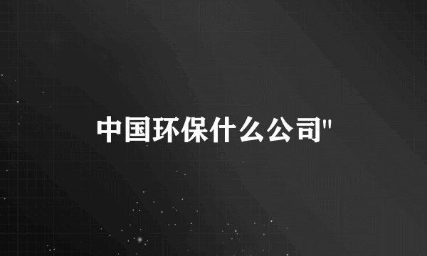 中国环保什么公司