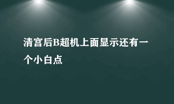清宫后B超机上面显示还有一个小白点