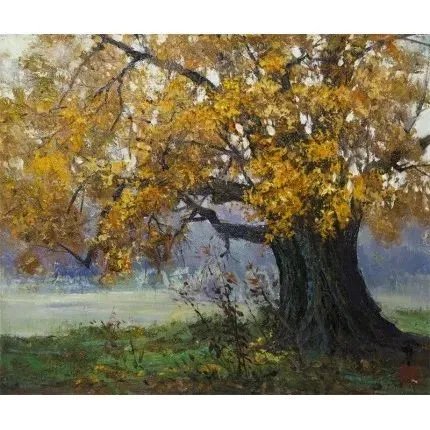 70城中50%的二手房价格下滑，资产配置需要转变思路