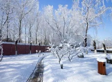 新一轮寒潮来袭，雨雪降温齐上线，具体会波及到哪些地区？