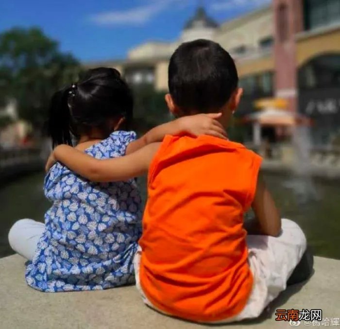 央视主持人杨柳大变样 央视主持人杨柳