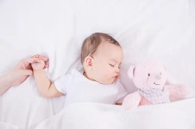 2020年是老鼠年吗 2020年是金鼠年吗