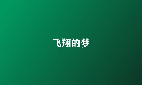 飞翔的梦