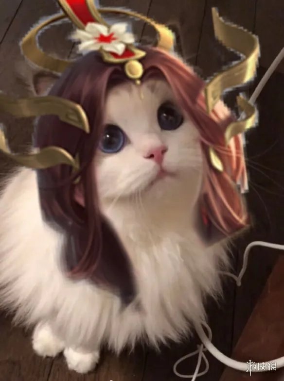 《王者荣耀》猫咪接头头像最新 猫咪头像大全