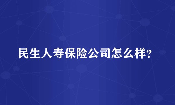 民生人寿保险公司怎么样？