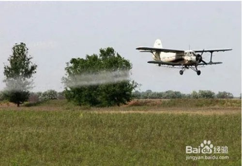 蝗虫的天敌是什么?