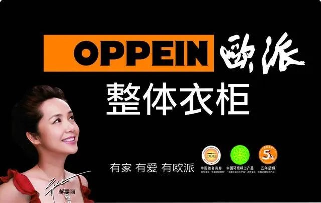 中国十大橱柜品牌排行榜 厨房橱柜哪个牌子好