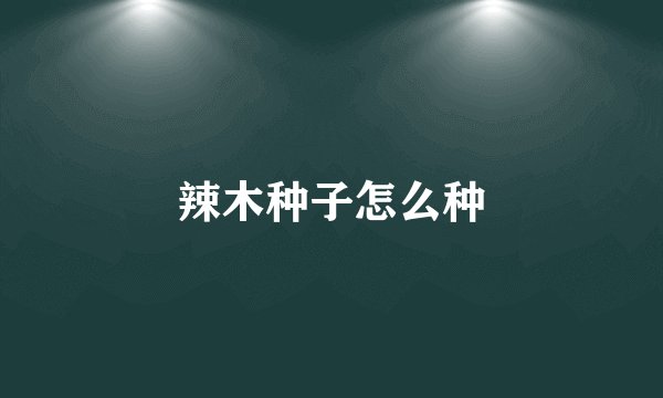 辣木种子怎么种