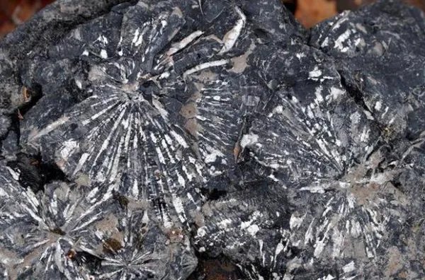 各种硫化物的颜色