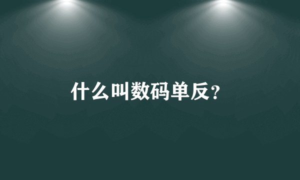 什么叫数码单反?