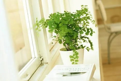 日语个性签名可爱句子