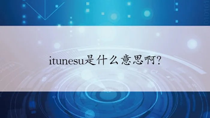 itunesu是什么意思啊？