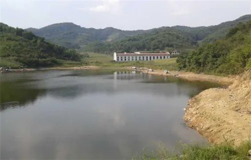 2万元以内出租的水库有哪些？