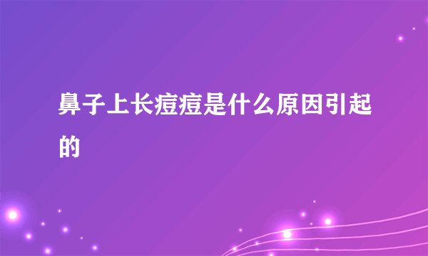鼻子上长痘痘是什么原因引起的