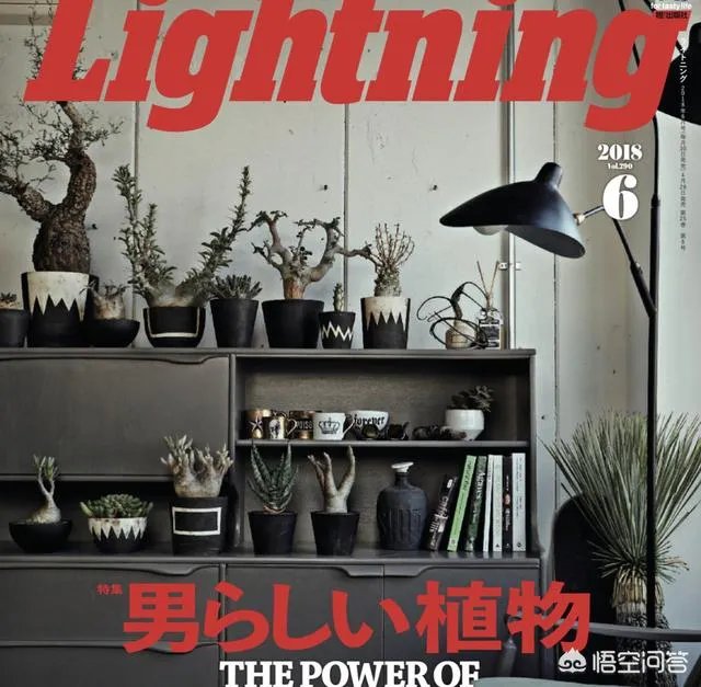 有哪些关于日系或者韩系穿搭的杂志值得推荐？