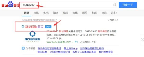 如何登陆新华保险公司官方网站