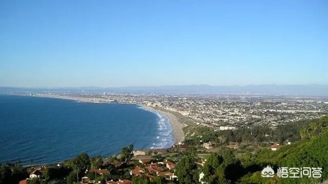 为什么贾跃亭一直下周不回国？