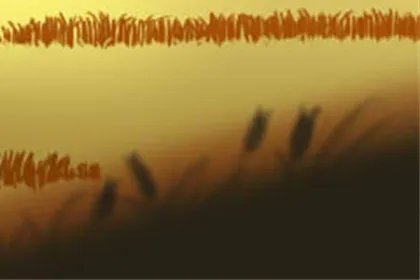 为什么鬼节不能出去玩？